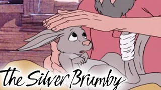 The Silver Brumby | Prospector Saves the Day! 🐎| HD FULL EPISODES