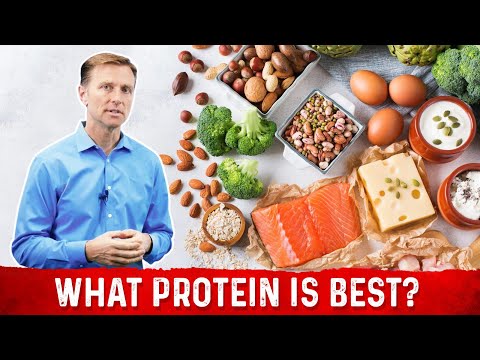 What Protein is Best?