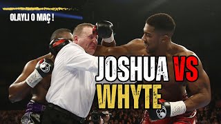 Anthony Joshua vs Dillian Whyte Full Fight