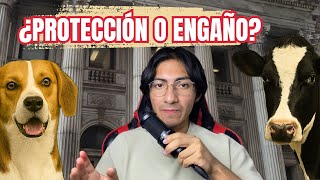 Es DECEPCIONANTE la LEY de BIENESTAR ANIMAL 