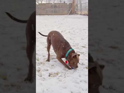 Buffy Playing In