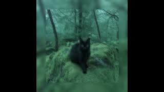 Ava Max - So Am I (speed up   reverb)