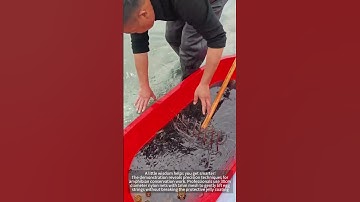 The process of scooping toad eggs is shared