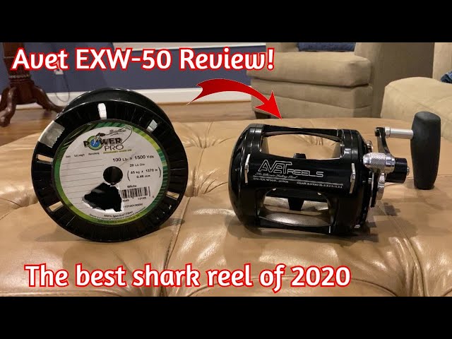 THE BEST SHARK REEL OF 2020 - Avet EXW-50 