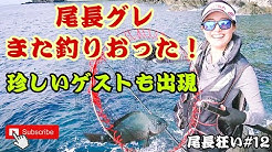 尾長狂い 奄美大島磯釣り Shore Fishing Amami Youtube