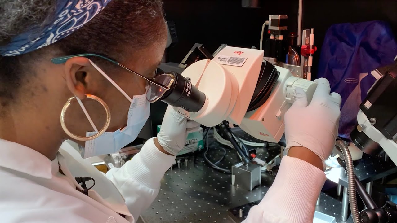 why-choose-bme-at-emory-georgia-tech-youtube