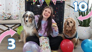 Throwing My Dogs A Birthday Party!