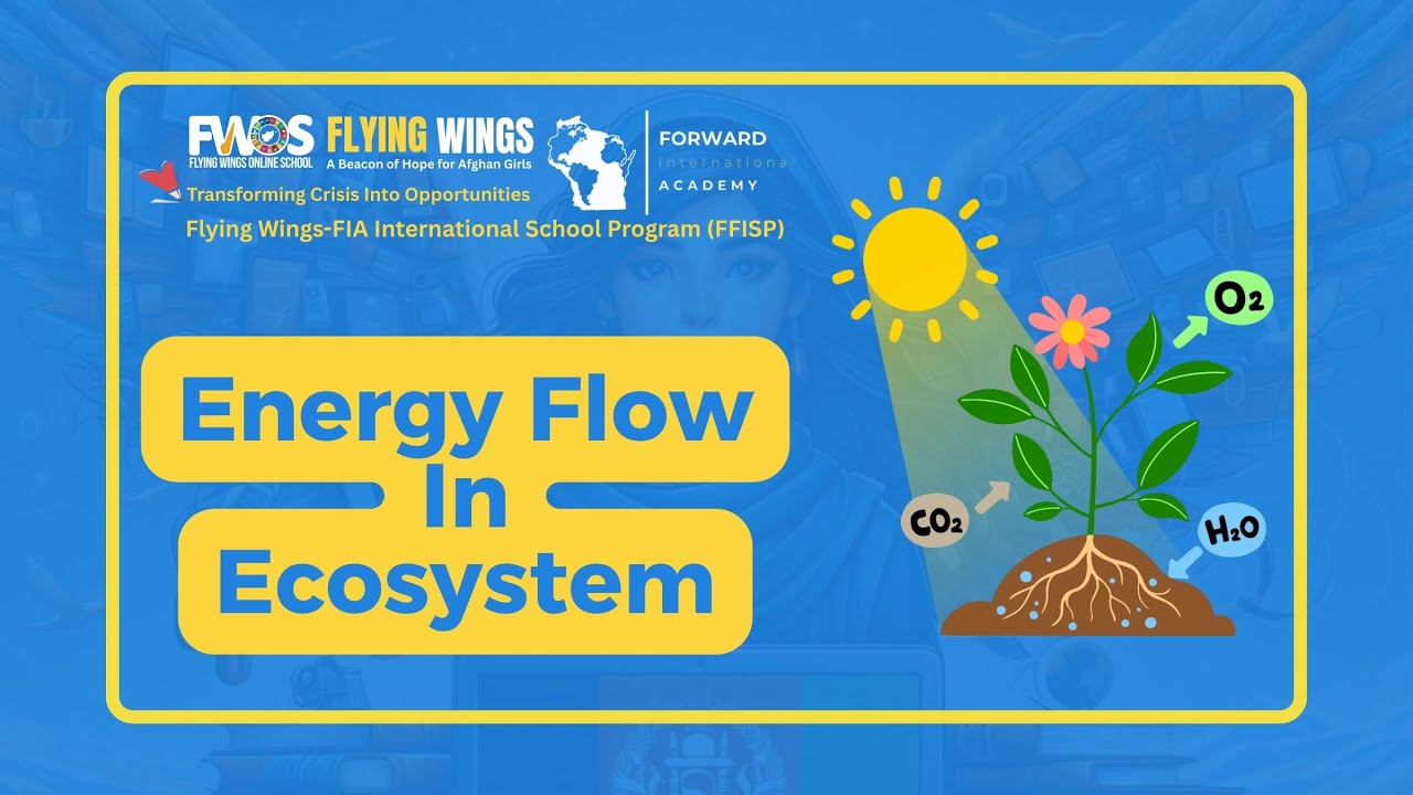 Lesson 12 Energy Flow in Ecosystem