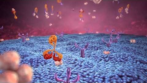 3D Medical Animation: MOA Cytokine Interceptors
