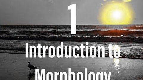 Introduction to morphology