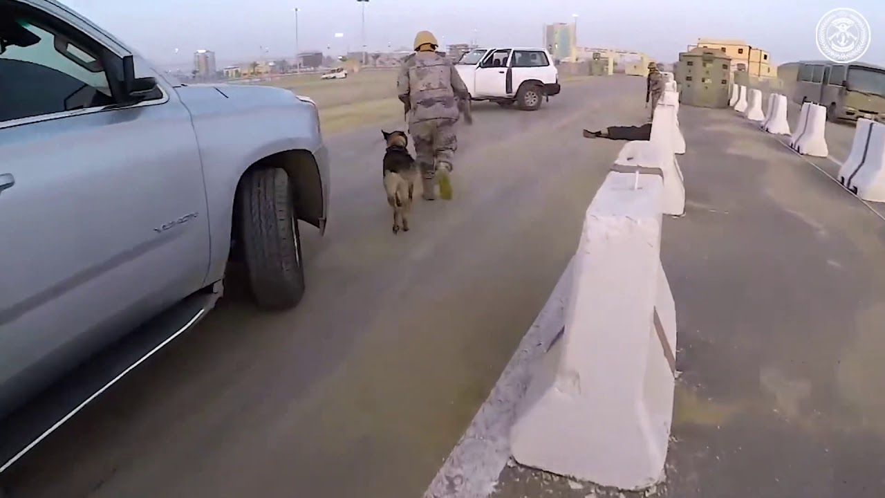 الوسائل الأمنية الحية 