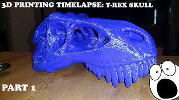 3D PRINTER TIMELAPSE: T-REX SKULL Pt. 1