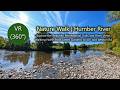 VR (360°) Relaxing Nature Walk along the Humber River | Part 1 of 2
