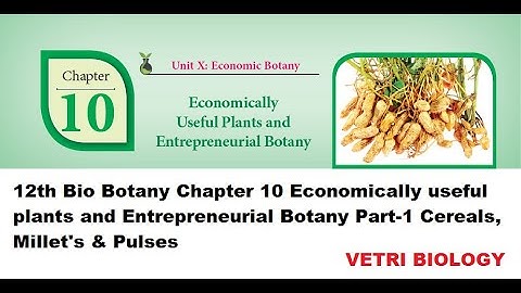 12th Bio Botany Chapter-10 Economically useful plants & Entrepreneurial Botany Part-1