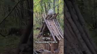12 сентября 2025 г.