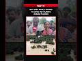 Boy Dies While Trying to Save Pet During Assam Floods