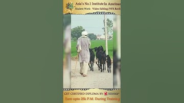 VFX Reel made by Saanya Jain  during VFX Course in XL Multimedia