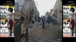 Vi̇deo Kaset Stüdyosu Eki̇nçi̇ler Cad. Ami̇d Paj. Anilar Vi̇deo   Ofi̇s Di̇yarbakir   