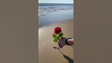 اسم ريم على الرمل شاهد الجمال 