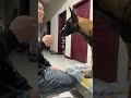 Jerry's Shyness Transformation: Mastering the Art of Confidence with Horse &amp; Dog Training