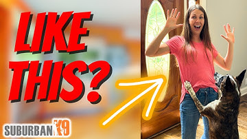 STOP Your Dog From Jumping at the DOOR in 3 Easy Steps!