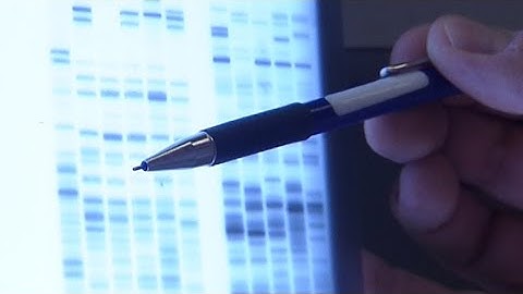 Outcry Over Decision to Release the First Person to Be Convicted With DNA evidence From Prison