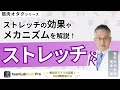 【ストレッチ】ストレッチの効果やメカニズムを解説します!