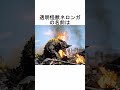 【ウルトラマン】『ウルトラマン』に登場する怪獣の名前の由来