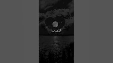 #القرآن #القرآن_الكريم #القران_الكريم  #القران #رمضان #راحة_نفسية  #ستوريات #آيات #رسول_الله #ريلز