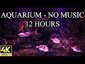 Aquarium 4k coral reef no music and no ads 4k reef tank  12 hours  aquarium sounds for sleeping