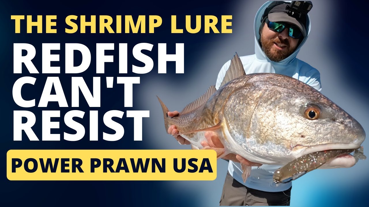 Prawn USA Lures: How To Rig & Use These Lures To Maximize Results