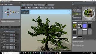 Speedtree Training - Timelapse