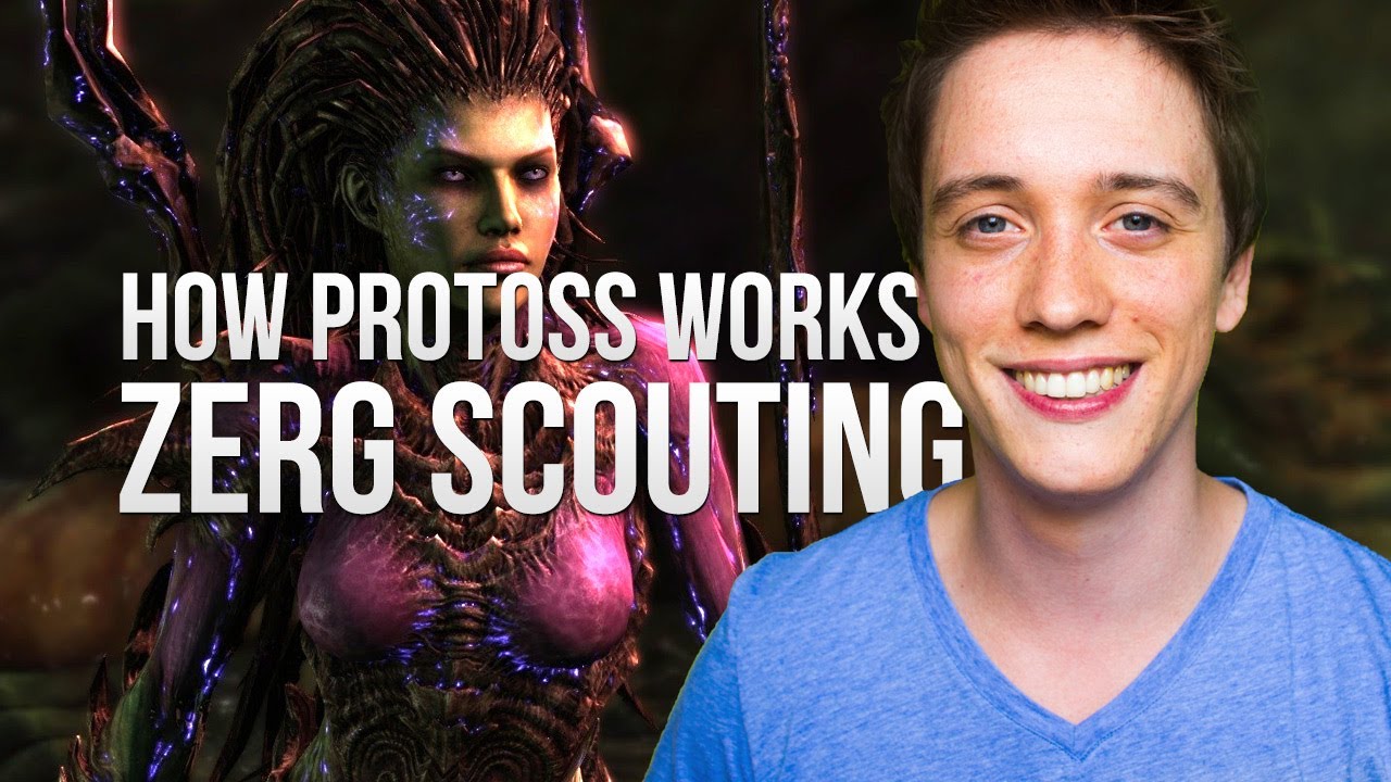 How Protoss Works - Zerg Scouting (StarCraft 2 - Heart of the Swarm Strategy) how-to-restore-my-backup-without-a-ledger-wallet