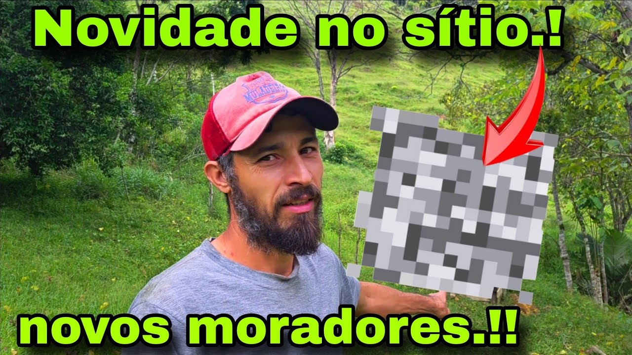 Novos moradores no sítio.! Novidade ai gente 