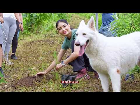 REFORESTACION TEPIC