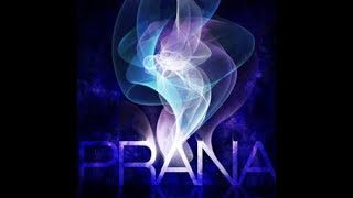 【Reverse】PRANA(CSP)
