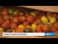 Tomato prices surge as supply shortages, tariffs and fuel costs squeeze produce industry