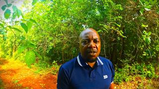 #55  Why you should avoid Sabhuku land deals.