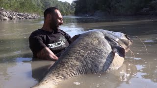 Catfish Hunter: The King of the River by Yuri Grisendi by Catfish World by Yuri Grisendi 49,311 views 1 year ago 21 minutes