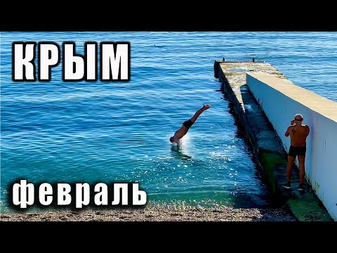 Video: Крым арчасы: пайдалуу касиеттери, түрлөрү жана кызыктуу фактылар