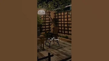 عمرو حسن كان لازم احبك من ساعه لما قابلتك 