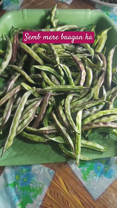garden vegetables #semb Mera baagan ka
