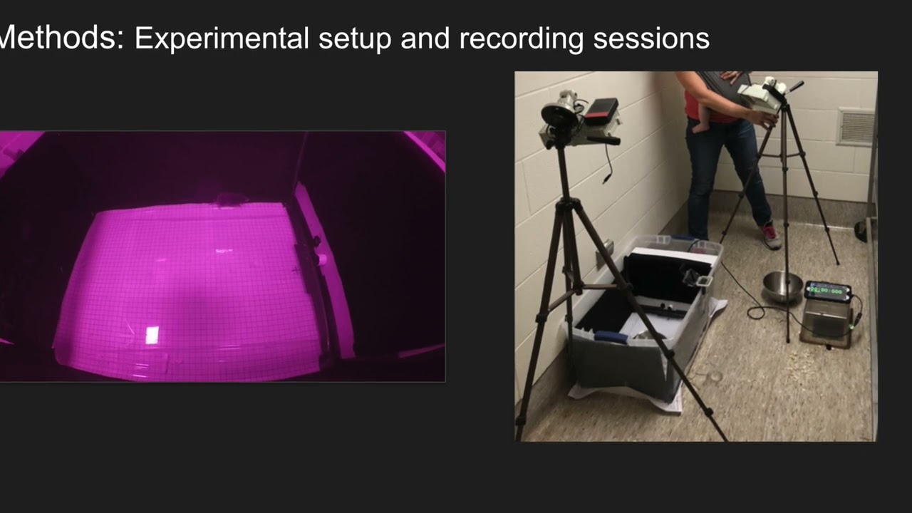 Ultrasonic emissions of shrews in a novel environment and the possible role of...[Margaret Gleason]