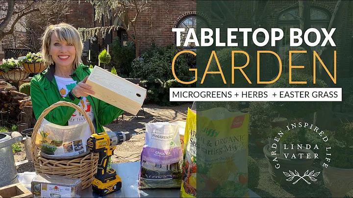 How To Plant a Wooden Box Garden w/ Microgreens + ...