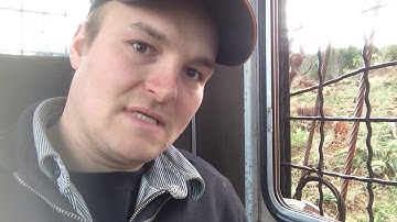 Huge cedar load on log truck