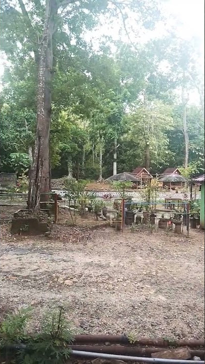 Kolam renang air alami (Kedung pupur Ledok Sambong Blora)
