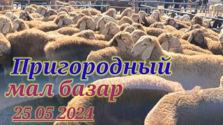 25 05 2024 ПРИГОРОДНЫЙ МАЛ БАЗАРЫ