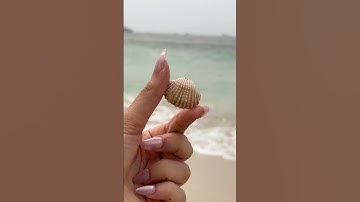 I made mermaid necklace at the beach 🧜‍♀️🌊