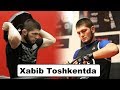 Xabib Nurmagomedov Toshkentda mashg'ulot o'tkazdi (eksklyuziv video)