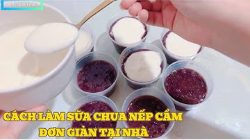 Cách làm sữa chua nếp cẩm đơn giản tại nhà | cảnh quê nhà tít